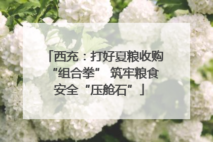 西充：打好夏粮收购“组合拳” 筑牢粮食安全“压舱石”