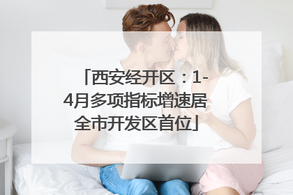 西安经开区：1-4月多项指标增速居全市开发区首位
