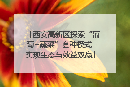 西安高新区探索“葡萄+蔬菜”套种模式 实现生态与效益双赢