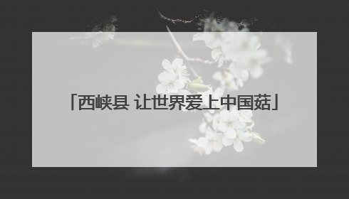 西峡县 让世界爱上中国菇