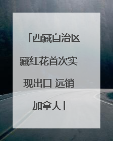 西藏自治区藏红花首次实现出口 远销加拿大