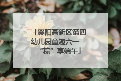 襄阳高新区第四幼儿园童趣六一 “粽”享端午