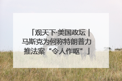 观天下·美国政坛｜马斯克为何称特朗普力推法案“令人作呕”