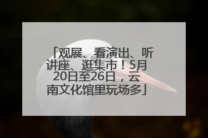 观展、看演出、听讲座、逛集市！5月20日至26日，云南文化馆里玩场多