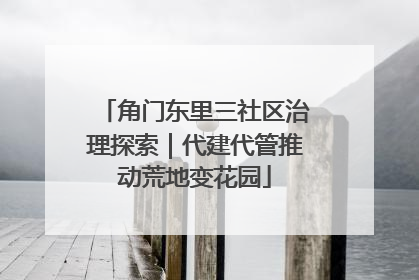 角门东里三社区治理探索|代建代管推动荒地变花园