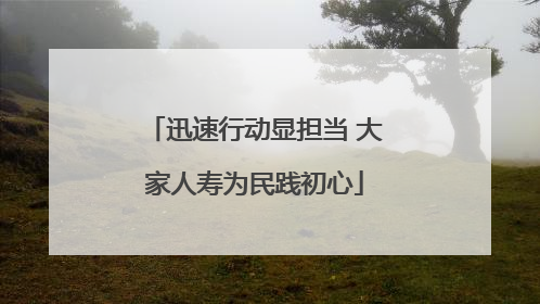 迅速行动显担当 大家人寿为民践初心