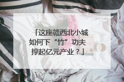 这座赣西北小城如何下“竹”功夫撑起亿元产业？