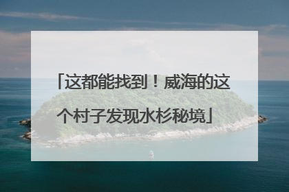 这都能找到！威海的这个村子发现水杉秘境