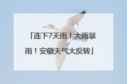 连下7天雨！大雨暴雨！安徽天气大反转