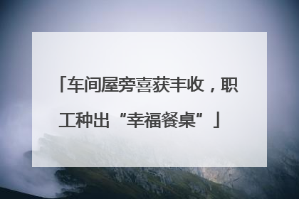 车间屋旁喜获丰收，职工种出“幸福餐桌”