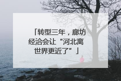 转型三年，廊坊经洽会让“河北离世界更近了”
