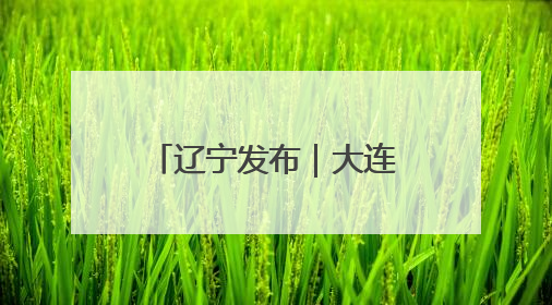 辽宁发布｜大连市高质量冲刺万亿GDP城市