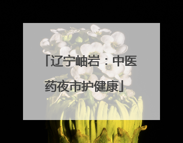 辽宁岫岩：中医药夜市护健康