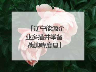 辽宁能源企业多措并举备战迎峰度夏