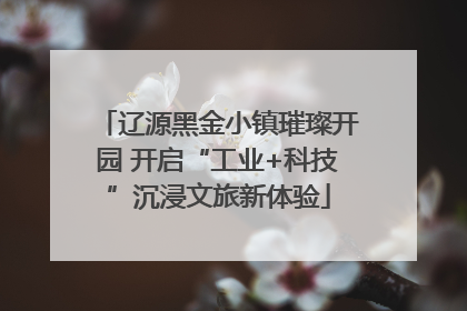 辽源黑金小镇璀璨开园 开启“工业+科技”沉浸文旅新体验