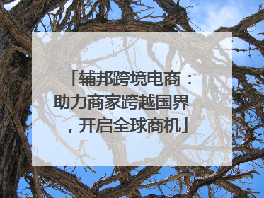辅邦跨境电商：助力商家跨越国界，开启全球商机
