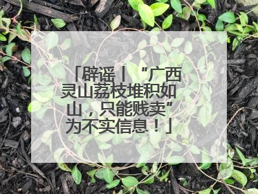 辟谣丨“广西灵山荔枝堆积如山，只能贱卖”为不实信息！