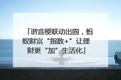 谐音梗联动出圈，蚂蚁财富“指数+”让理财更“加”生活化