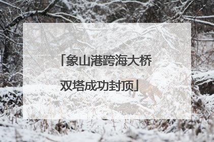象山港跨海大桥双塔成功封顶
