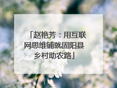 赵艳芳：用互联网思维铺就固阳县乡村助农路