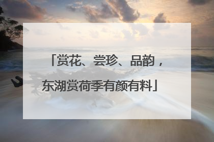 赏花、尝珍、品韵，东湖赏荷季有颜有料