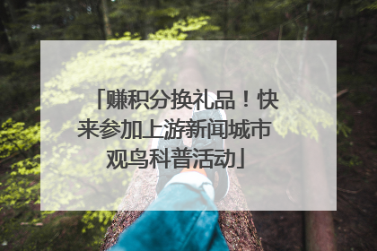 赚积分换礼品！快来参加上游新闻城市观鸟科普活动