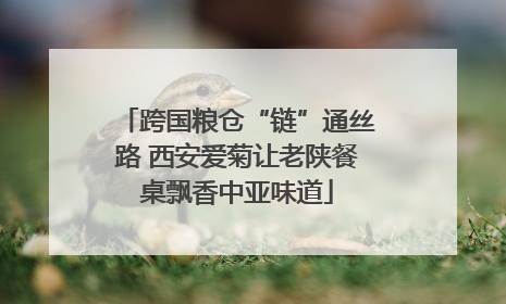 跨国粮仓“链”通丝路 西安爱菊让老陕餐桌飘香中亚味道
