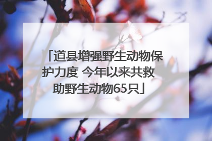 道县增强野生动物保护力度 今年以来共救助野生动物65只