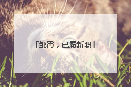 邹霞，已履新职