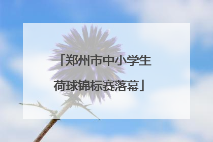 郑州市中小学生荷球锦标赛落幕