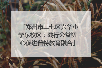 郑州市二七区兴华小学东校区：践行公益初心促进普特教育融合