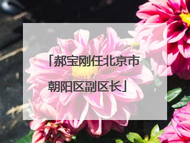 郝宝刚任北京市朝阳区副区长