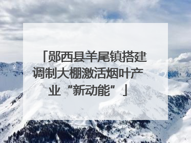 郧西县羊尾镇搭建调制大棚激活烟叶产业“新动能”