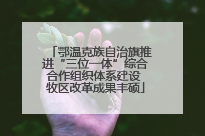 鄂温克族自治旗推进“三位一体”综合合作组织体系建设 牧区改革成果丰硕