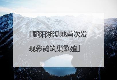 鄱阳湖湿地首次发现彩鹮筑巢繁殖