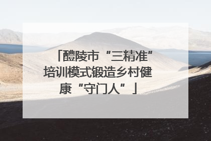 醴陵市“三精准”培训模式锻造乡村健康“守门人”