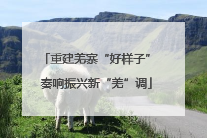 重建羌寨“好样子” 奏响振兴新“羌”调