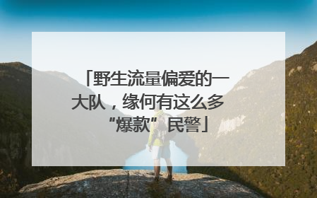 野生流量偏爱的一大队，缘何有这么多“爆款”民警