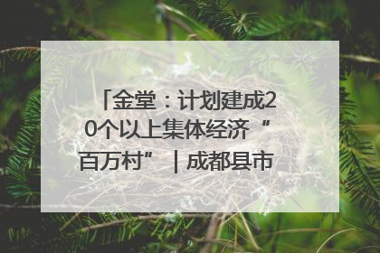 金堂：计划建成20个以上集体经济“百万村”｜成都县市新城高质量发展