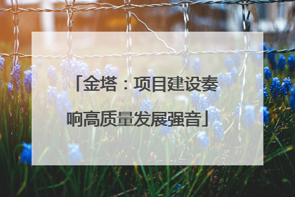 金塔：项目建设奏响高质量发展强音