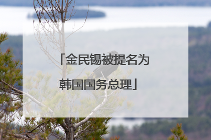 金民锡被提名为韩国国务总理