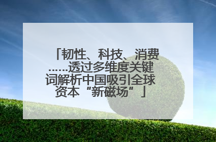 韧性、科技、消费……透过多维度关键词解析中国吸引全球资本“新磁场”