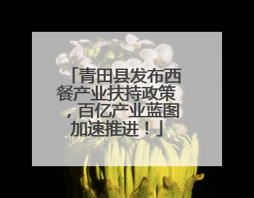青田县发布西餐产业扶持政策，百亿产业蓝图加速推进！