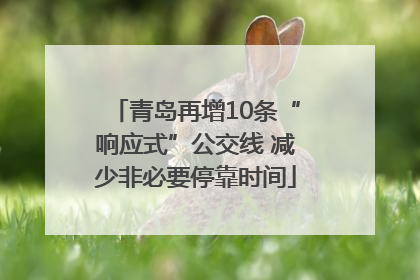 青岛再增10条“响应式”公交线 减少非必要停靠时间