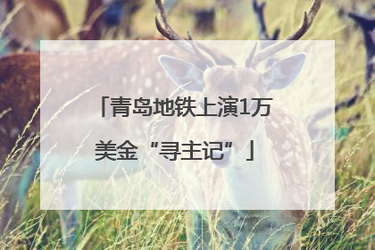 青岛地铁上演1万美金“寻主记”