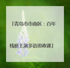 青岛市市南区：百年栈桥上演多语思政课