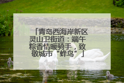青岛西海岸新区灵山卫街道：端午粽香情暖骑手，致敬城市“蜂鸟”