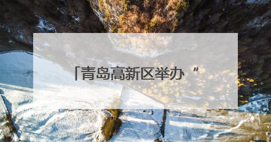 青岛高新区举办“清风拂端午 正气润童心”主题活动