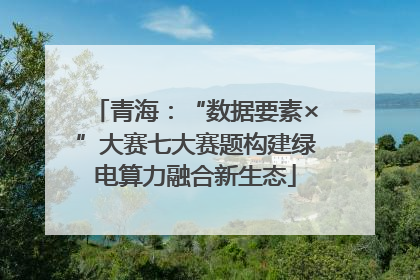 青海：“数据要素×”大赛七大赛题构建绿电算力融合新生态