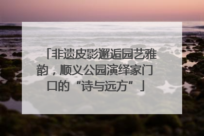 非遗皮影邂逅园艺雅韵，顺义公园演绎家门口的“诗与远方”